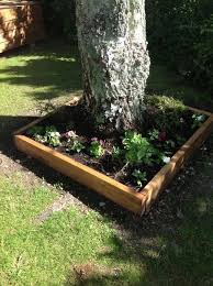 Raised Garden Wooden Garden Bed