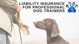 Dog Trainer Insurance gambar png