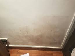 How To Get Rid Of Mould And Mildew