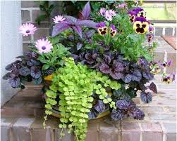 12 stunning spring container gardens