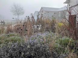 Natural Garden Design With Benjamin