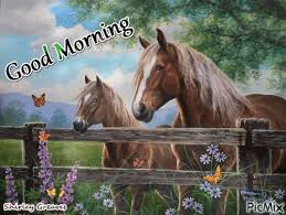 horse good morning animated gif