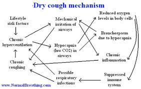 Dry Cough Mechanism Chart Cough Remedies Persistent