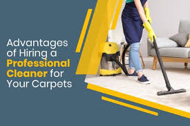 hire a carpet cleaning specialist