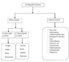 Flow Chart For The Classification Of Biodegradable Polymers