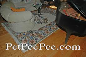 removing the urine odor from a wool rug