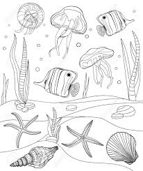 If we had to retain only one 7th art saga, it would undoubtedly be star wars. Coloring Pages Tropical Fish Seashell Jellyfish And Starfish Royalty Free Cliparts Vectors And Stock Illustration Image 147441496