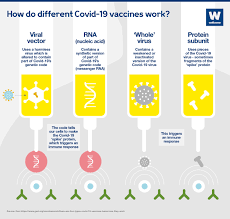Coronavirus counter with new cases, deaths, and number of tests per 1 million population. What Different Types Of Covid 19 Vaccine Are There News Wellcome