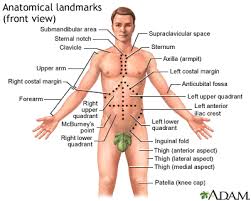 To make it easier for medical professionals to study about them, the area was divided into four abdominal quadrants. Abdominal Mass Information Mount Sinai New York