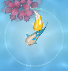 Fish typically spawn when water temperatures are 65° to 70°f. Breeding Zen Koi 2 Wiki Fandom