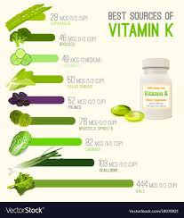 Vitamin K In Food Vector Image