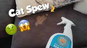 cleaning cat spew on microfiber couch