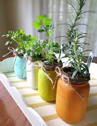 Kitchen Herb Garden In Mason Jars