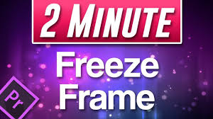 what is a freeze frame definition