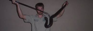 Orlando Snake Catcher Reptile Expert