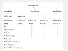 Accenture Organisational Design And Structure Of Formalisation