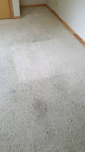 carpet cleaning warnick s janitorial