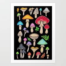 Mushroom Chart Art Print