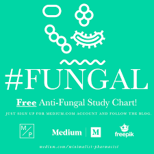 Anti Fungal Pharmacology Study Chart Minimalist