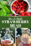 strawberry mead recipe how to make