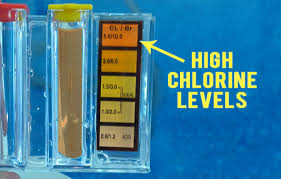Swimming Pool Chlorine Levels Best Foto Swimming Pool And
