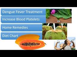 Dengue Fever Treatment Home Remedies And Diet Chart