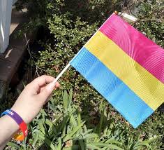 The colors and design of the polysexual flag are based on the pansexual and bisexual pride flags, borrowing the pink . Small Pansexual Pride Flag