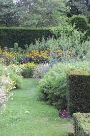 Which Hedge Is Right For My Garden