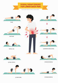 physical therapy exercises for lower