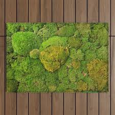green moss carpet no2 outdoor rug by