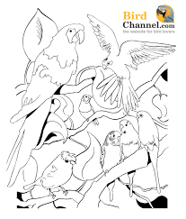 Blue and yellow macaw super coloring bird coloring pages. Macaw Coloring Pages Coloring Home