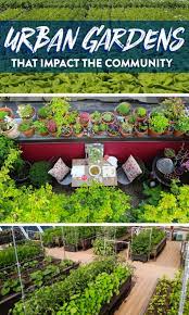 Urban Gardens That Impact The Community