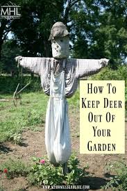 Scarecrows For Garden Deer Garden