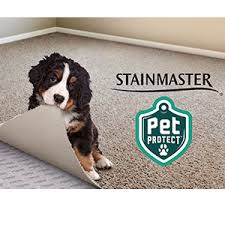 stainmaster petprotect carpet to woo
