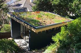 Rooftop Gardens Planted Rooftops