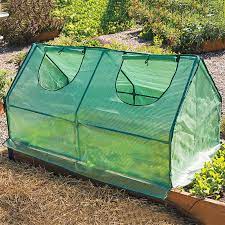Multi Cloche Cold Frame Gurney S Seed
