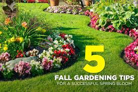 5 Fall Gardening Tips For A Successful