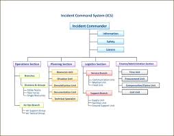Ics Organizational Chart 823728645 Fillable Ics Flow