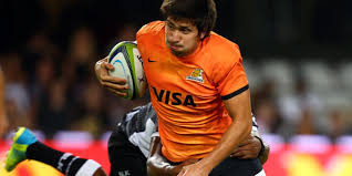 pumas fullback to join scarlets