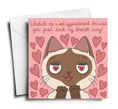 Send free funny valentine's day cards to loved ones on birthday & greeting cards by davia. 14 Purrfect Puns For Your Pun Loving Valentine Meowingtons