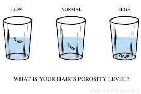 What Exactly Is Hair Porosity How Do I Test My Hair