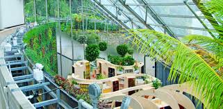 Largest Living Vertical Interior Garden