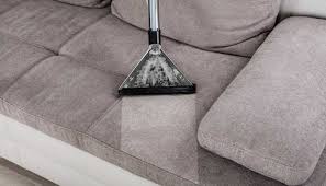 carpet cleaning cary nc phoenix