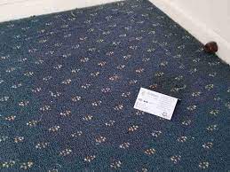 ecosan solutions carpet repair and