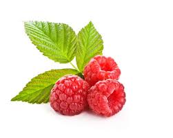 is raspberry leaf tea safe during