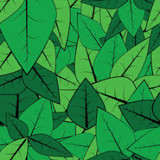 leaf pattern vector images over 550 000