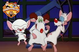 Who can forget the cloning experiment that made pinky and brain the proud donators of dna to their clone, romy? Animanicast 185 Pinky And The Brain And Larry Retrozap