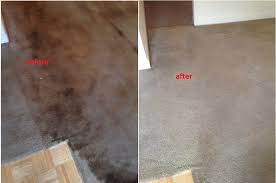 islands carpet cleaners residential