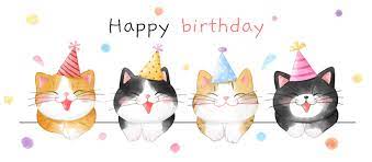 cat birthday images browse 84 070