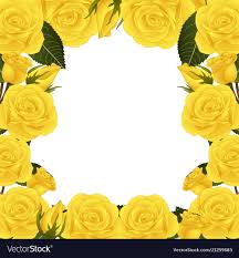 yellow rose flower border royalty free